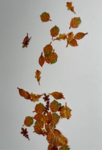 Load image into Gallery viewer, Fall Leaf Flakes
