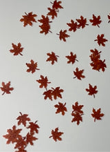 Load image into Gallery viewer, Fall Leaf Flakes
