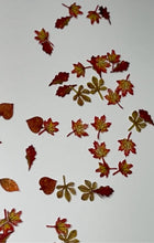 Load image into Gallery viewer, Fall Leaf Flakes
