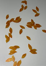 Load image into Gallery viewer, Fall Leaf Flakes
