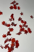 Load image into Gallery viewer, Fall Leaf Flakes
