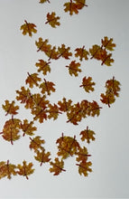 Load image into Gallery viewer, Fall Leaf Flakes
